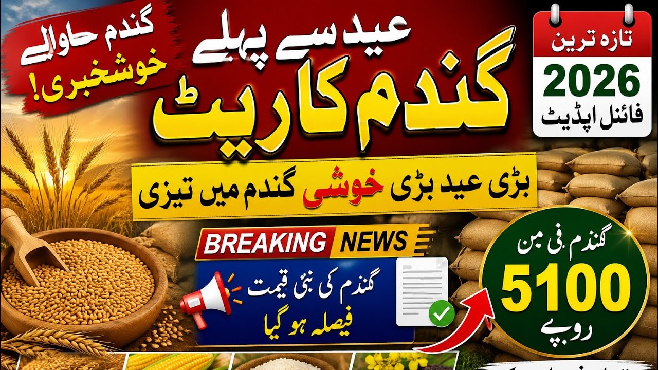 Punjab Wheat Price Today | Complete Mandi Report 2026