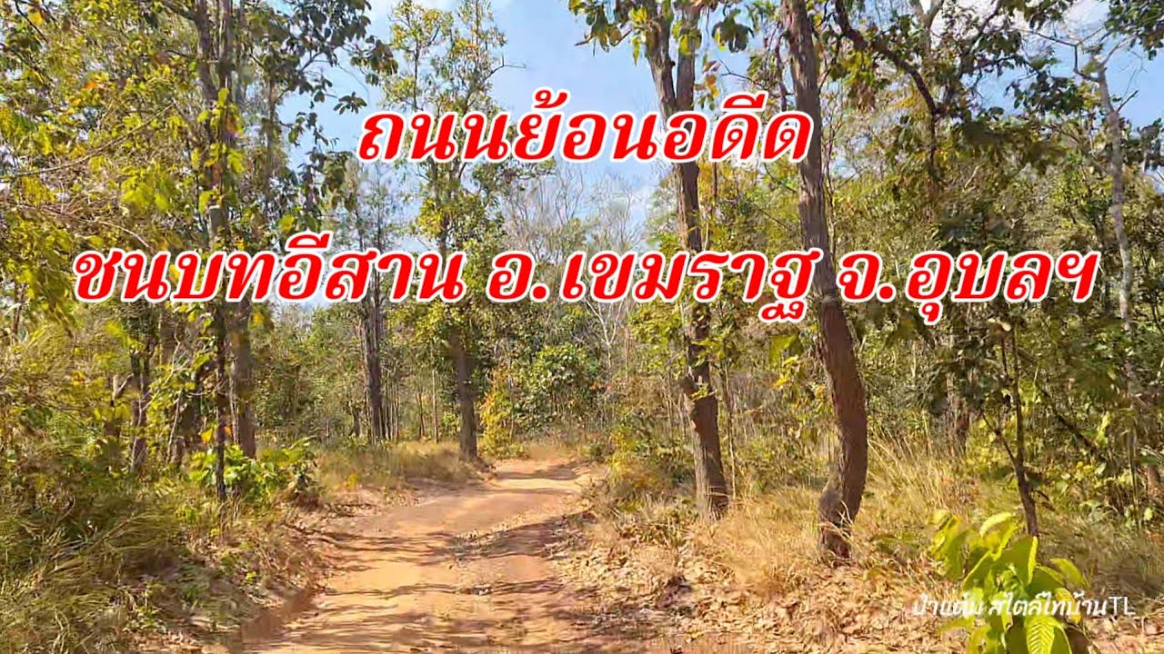 ถนนย้อนอดีด ชนบทอีสานใต้ ธรรมชาติป่าไม้แหล่งน้ำ อ.เขมราฐ อุบลฯ