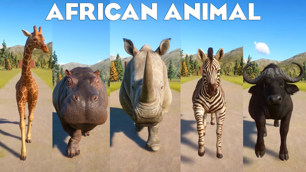 Reticulated Giraffe, Southern White Rhinoceros & Other African Animal in Planet Zoo Gameplay