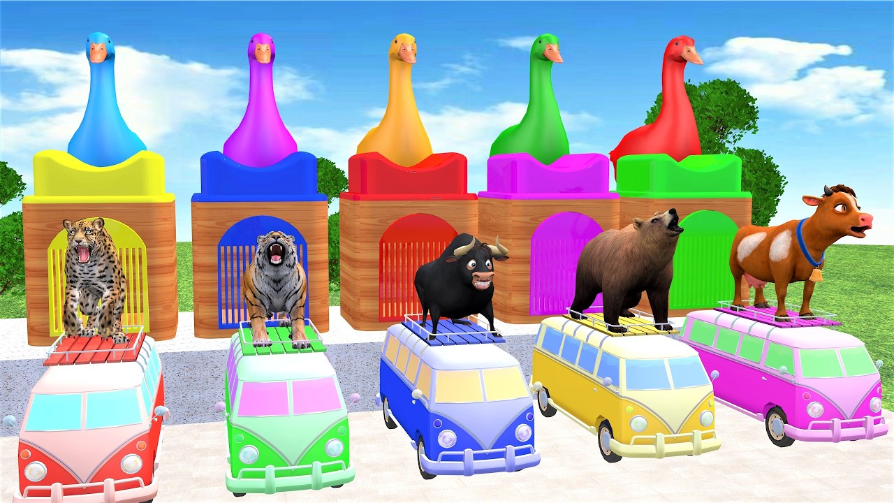 Long Slide Game With Tiger Leopard Bear Bull Ox 3D Animal Game Funny 3D Animals