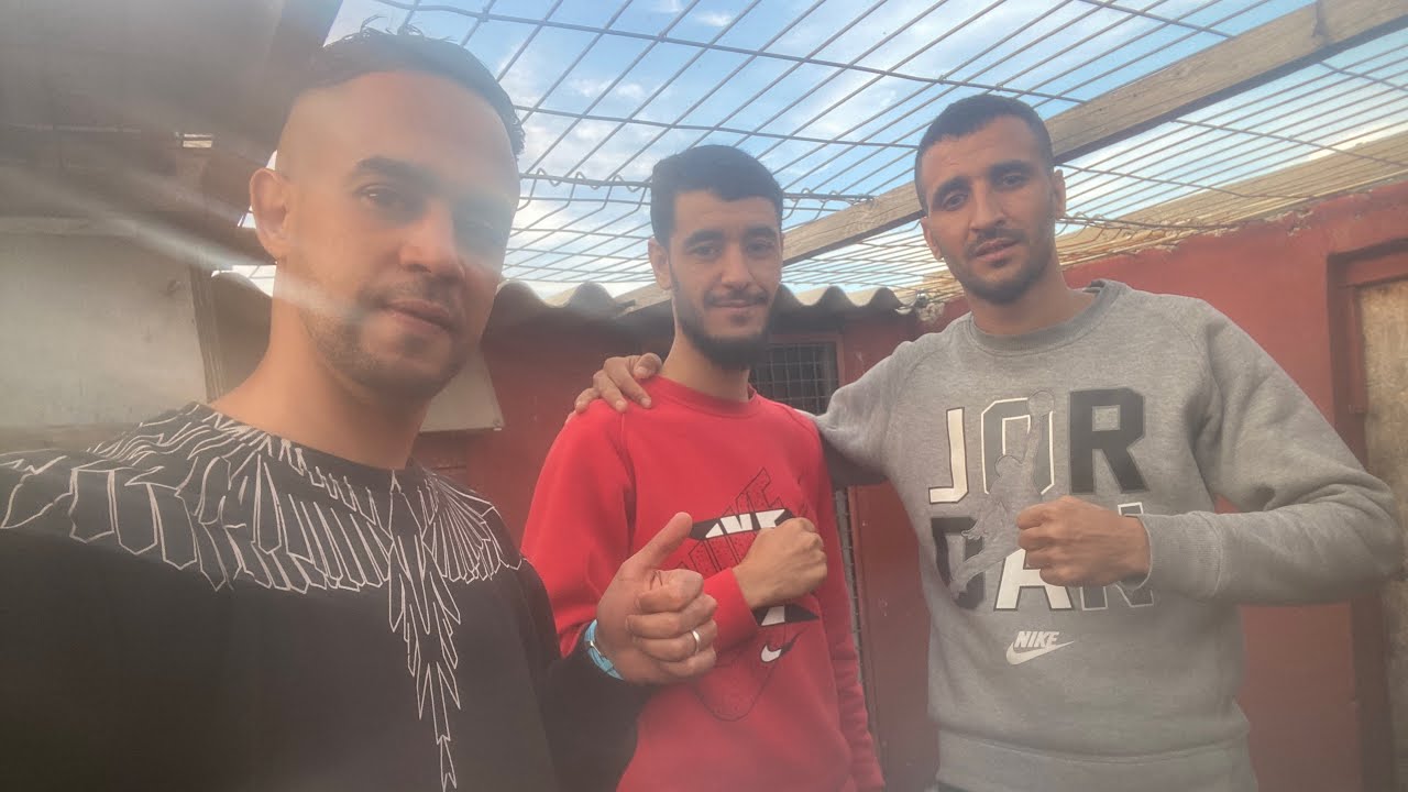 الحلقة 70 : سلسلة التعريف بالسلالات🥇🏆 مع الطونديم الخلوق👈🏻 إخوان مومن | سهيل 🧨💥