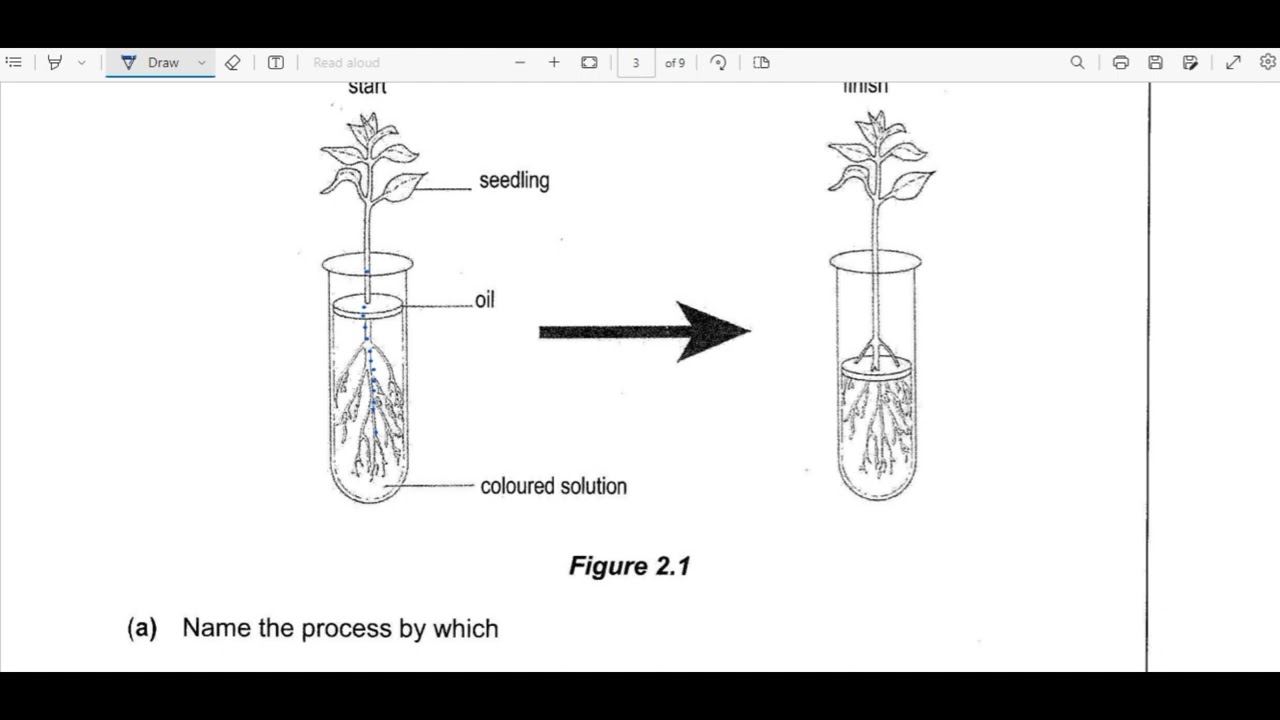 ЭКЗАМЕН ПО БИОЛОГИИ 2 2011 ECZ