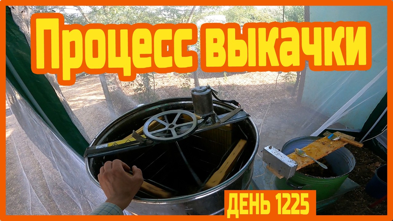 Идеальная летняя ночь. Качаю мёд полным ходом. Заканчивается место на GoPro — День 1225