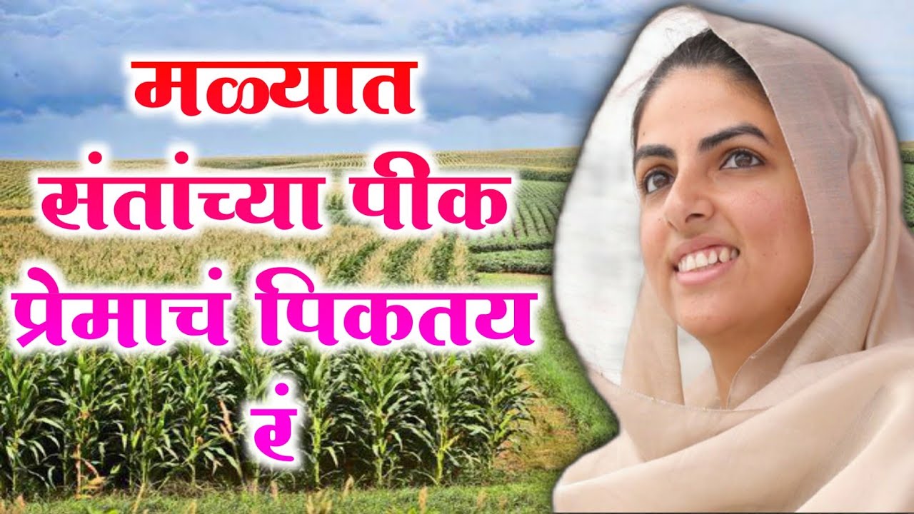 मळ्यात संतांच्या l Malayat santanchya l Nirankari Marathi song geet l eknath kamble nirankari abhang