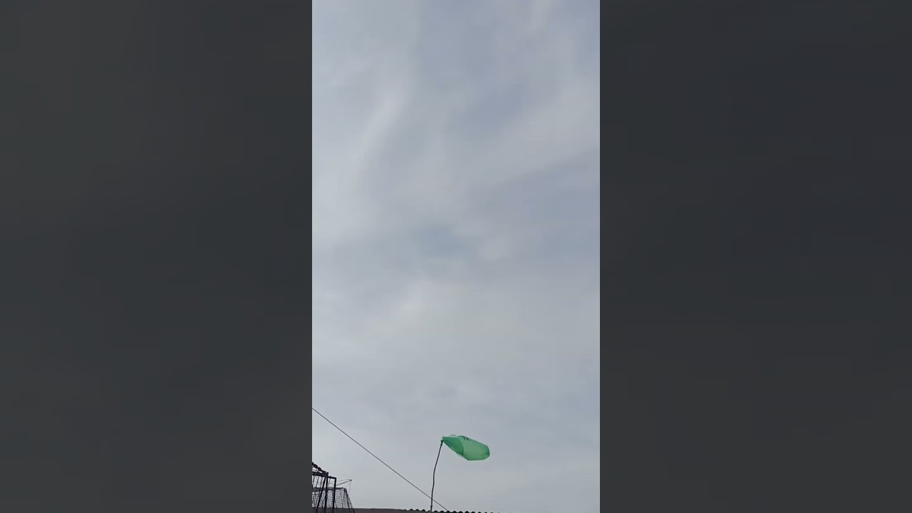 Gołębi Sławka Łowicz 😀☝️. Myślałem że te parę sztuk co wpadły w gołębie to nie moje. Pozdrawiam 🖐️.