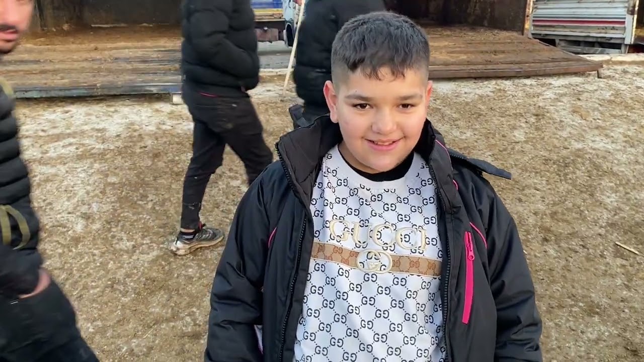 16 Kasım KIRŞEHİR HAYVAN PAZARI .!!! İkinci video İlk videomuz Silindi 