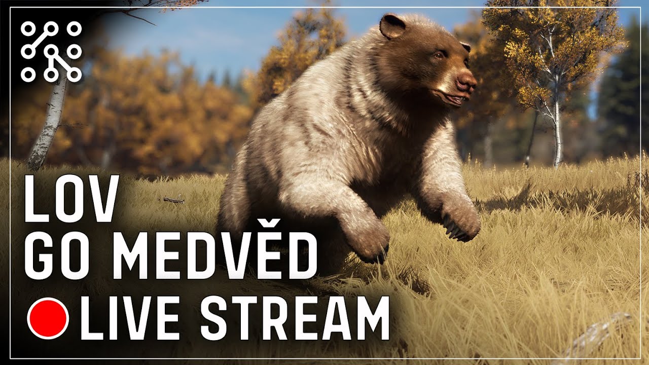 Lov GO Medvěd černý | The Hunter: Call of the wild CZ  | Lets play | Česky