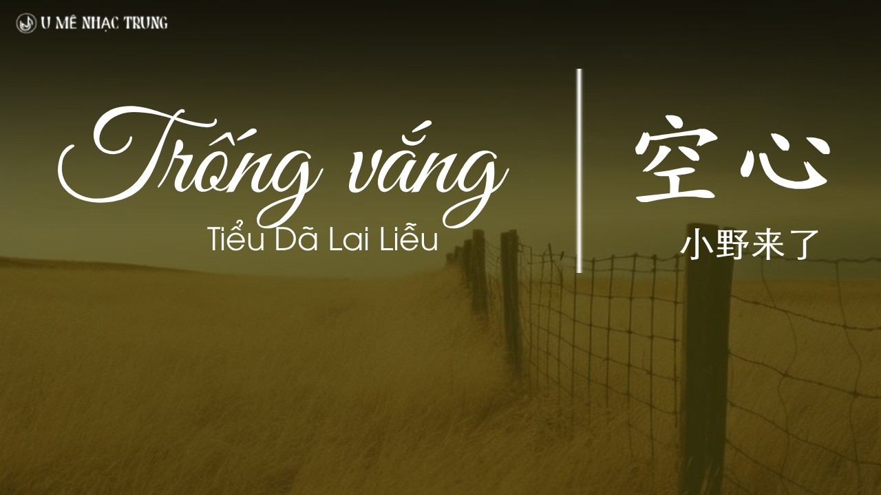 [Vietsub] Trống vắng - Tiểu Dã Lai Liễu | 空心 - 小野来了 | Nhạc Trung tâm trạng suyy