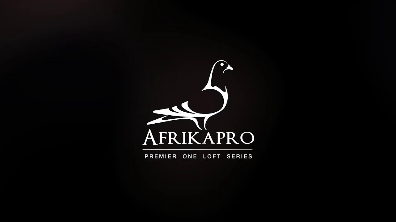 AFRIKAPRO &ndash; THE BIG FIVE AUCTION
