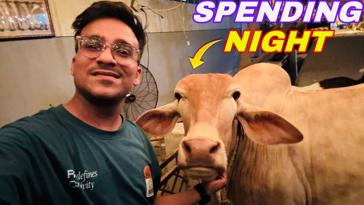 Spending Night With My Qurbani Animals !! 😍