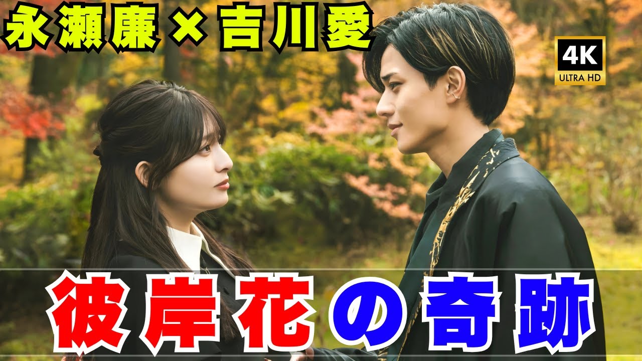 永瀬廉×吉川愛 オールブラック×白い彼岸花が話題！「美しすぎる」とSNS騒然の幻想ツーショット #永瀬廉#吉川愛#鬼の花嫁