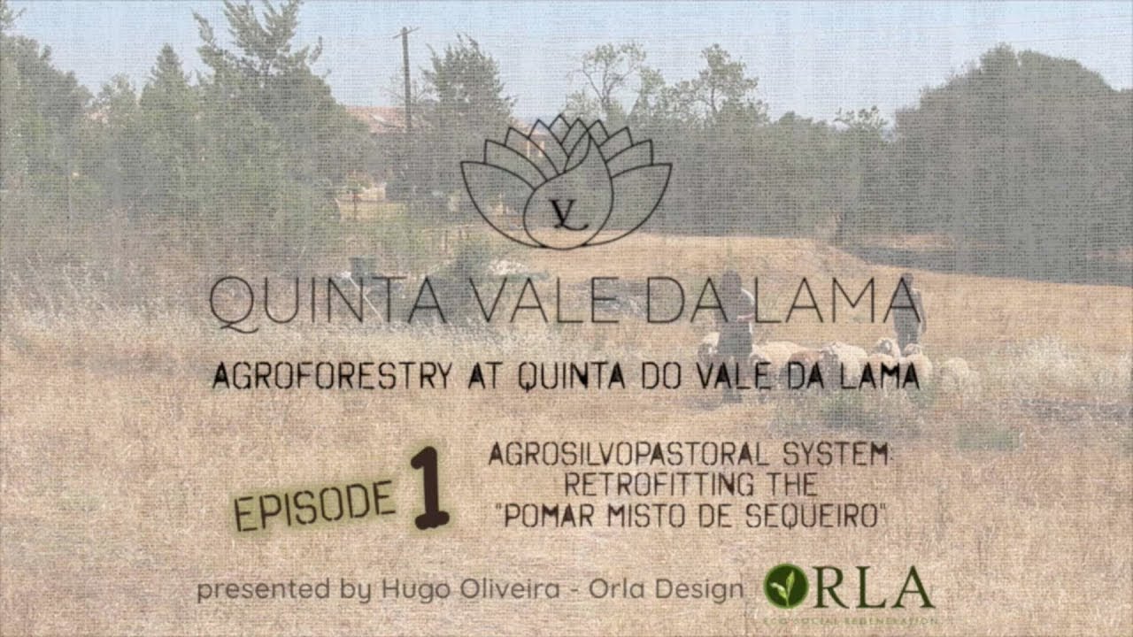 AgroForestry vs. Desertification: Round One (S1.E1)