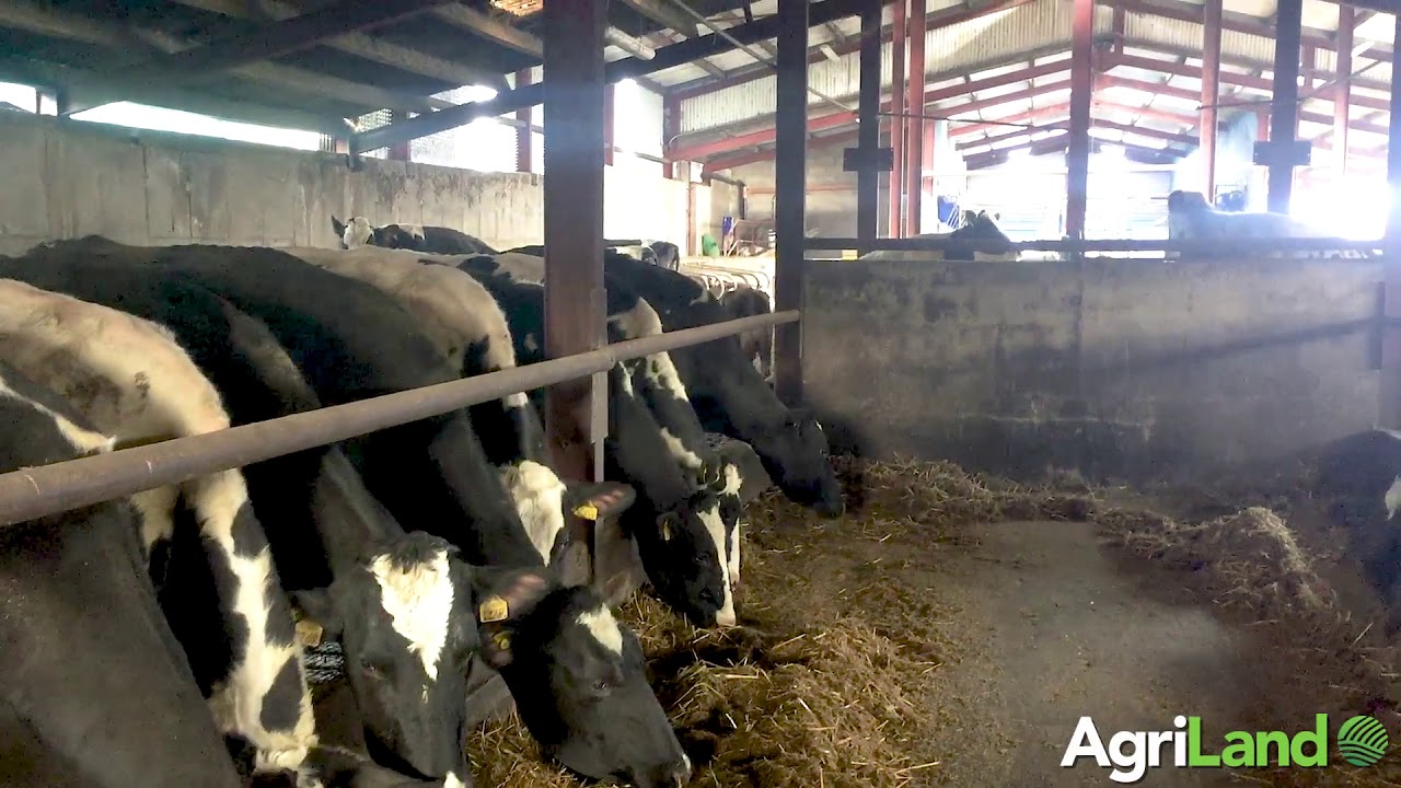 Dermot Sherry's farm in Co. Monaghan