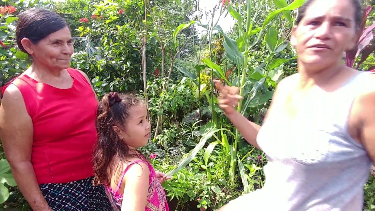 De visíta en la casa y jardin de la amable señora Dorita. Cumpleaños de la Señorita Laura. Parte 3