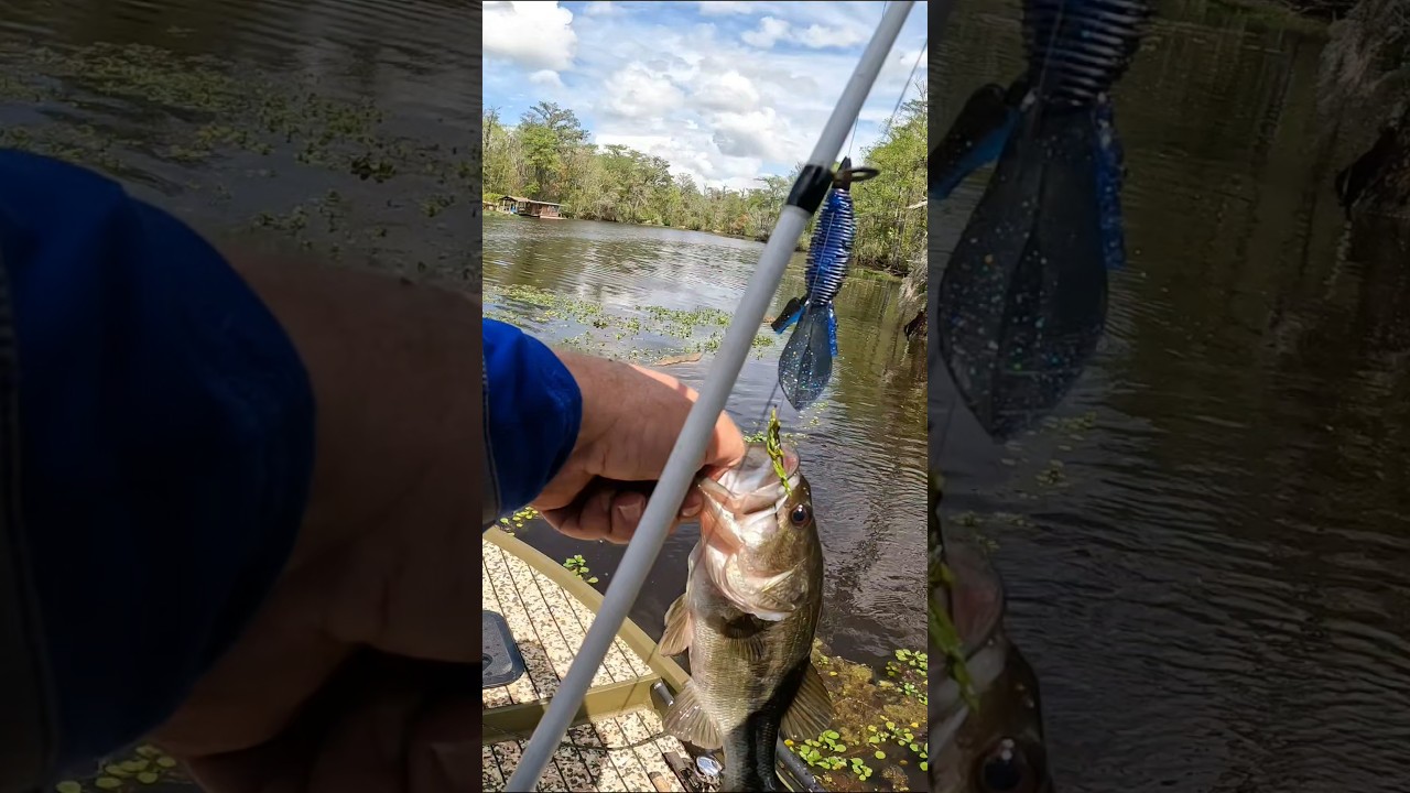 Ручки для бас-гитары D bombing cypress..