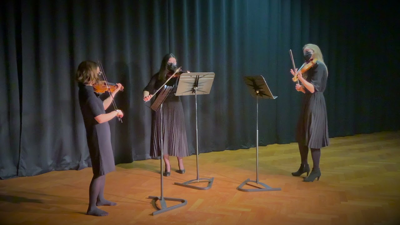 Strijkers Trio - Arrival of the Queen of Sheba