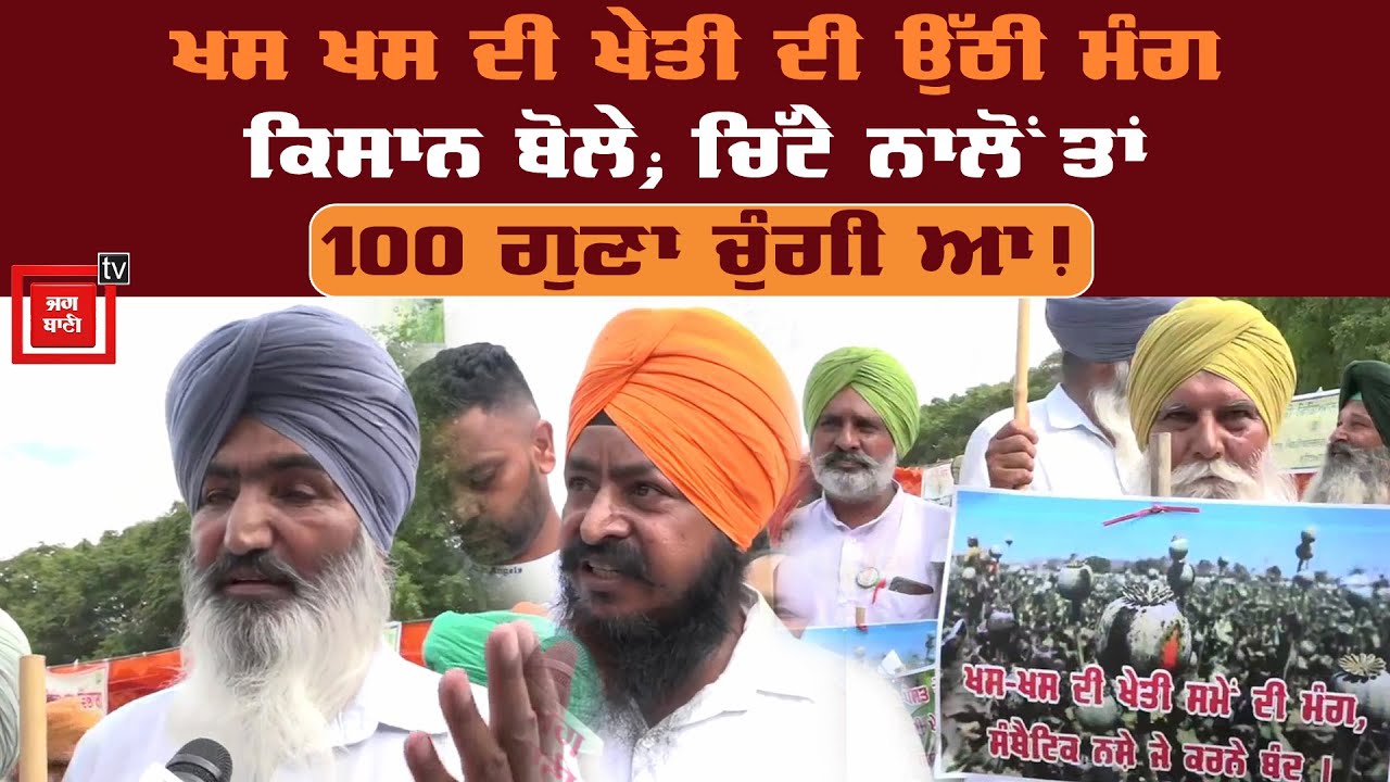 ਅਸੀਂ ਮਾਵਾਂ ਦੇ ਪੁੱਤ ਬਚਾਉਣੇ ਆ! ਖਸ ਖਸ ਦੀ ਖੇਤੀ ਦੀ ਉੱਠੀ ਮੰਗ, ਕਿਸਾਨਾਂ ਨੇ ਦੱਸੇ ਇਸ ਦੇ ਫਾਇਦੇ!