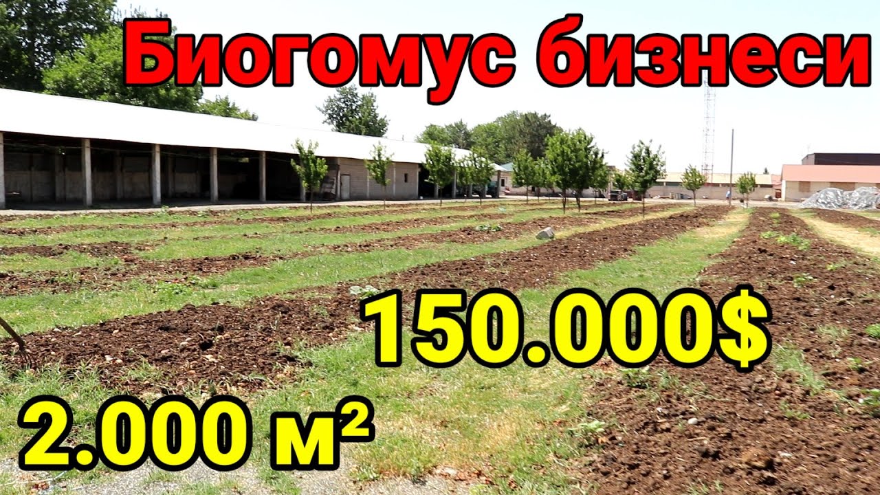Одамлар мана уша 150.000$ пул келтирадиган чувалчанг бизнеси