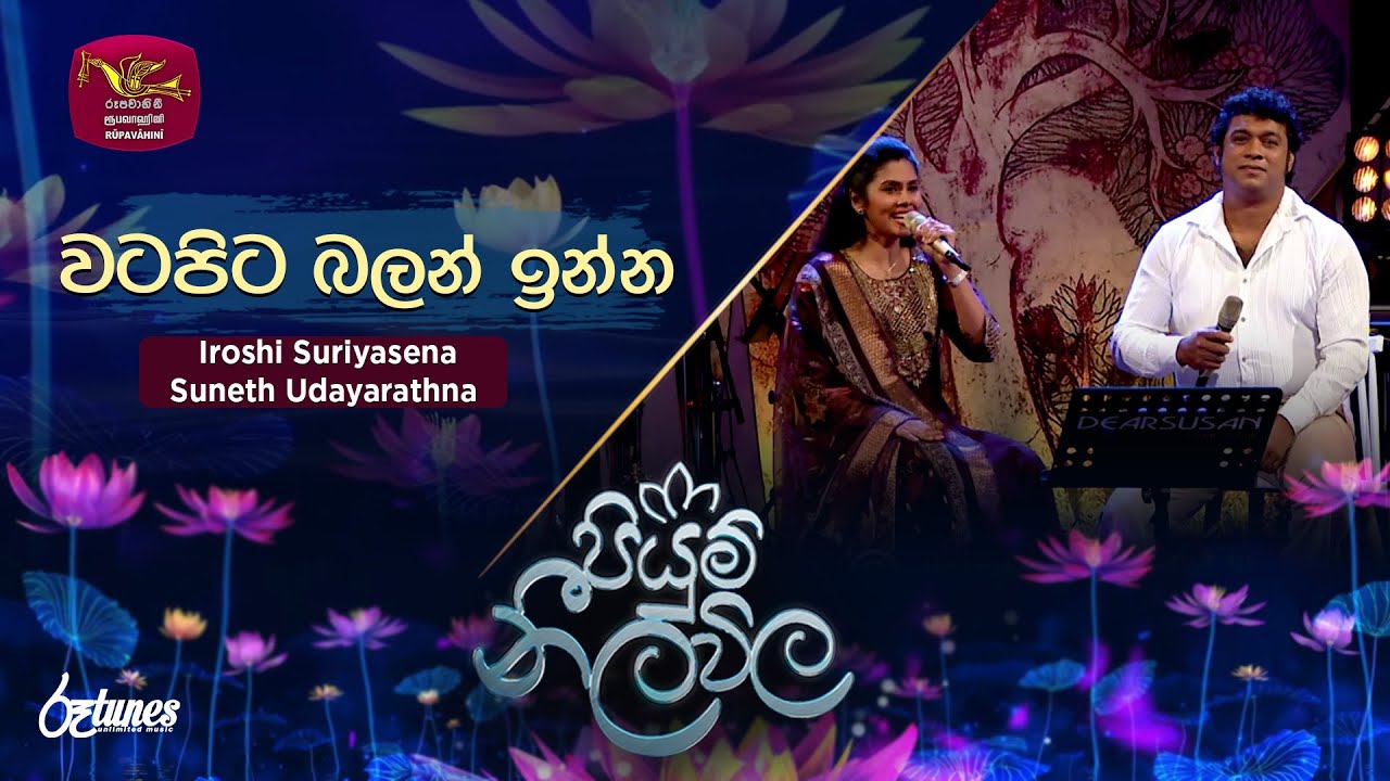 Watapita balan inna | වටපිට බලන් ඉන්න | Iroshi  ft.Suneth Udayarathna | Piyum Neela Vila | Roo Tunes