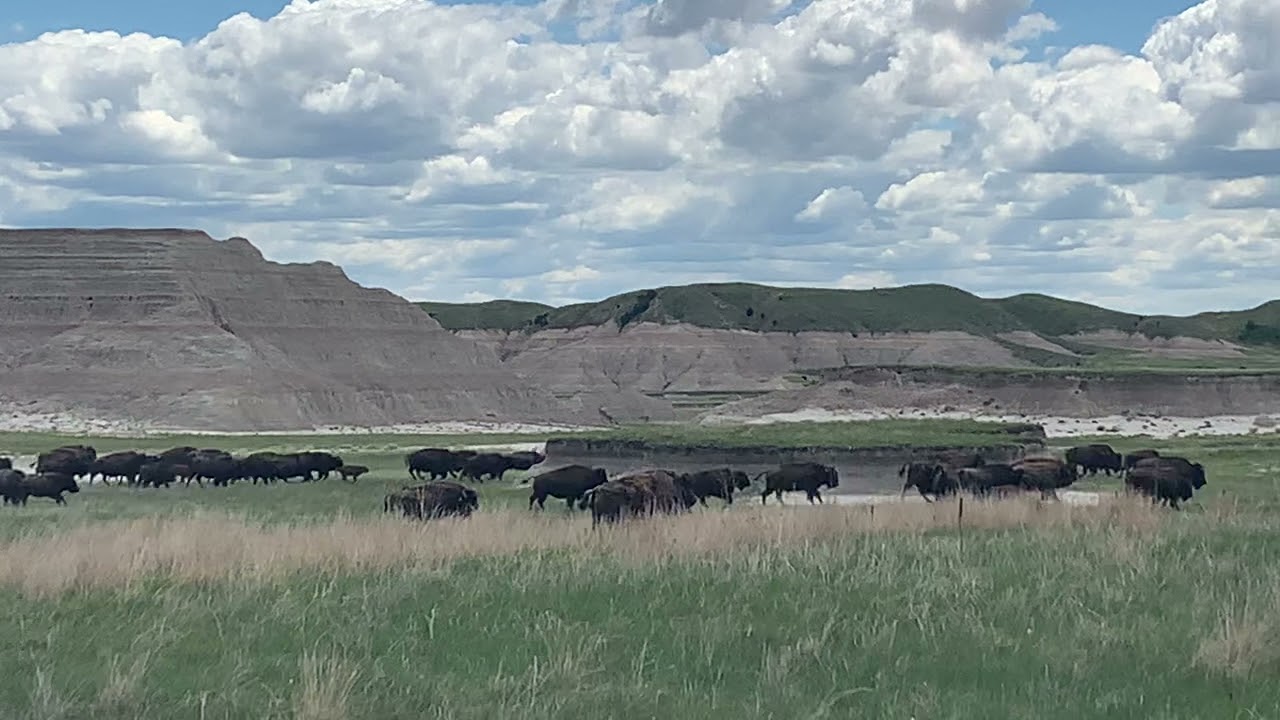 Fast Food on the Oglala Lakota Nation