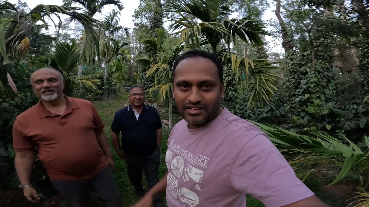 MY MENTORS VISITED MY COFFEE PLANTATION| END OF THE HARVESTING SEASON AT MY COFFEE PLANTATION