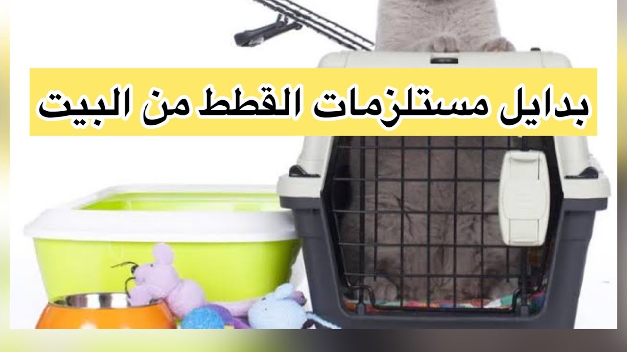 بدايل مستلزمات القطط من البيت 😍😍 ازاي نوفر في تربيه القطط