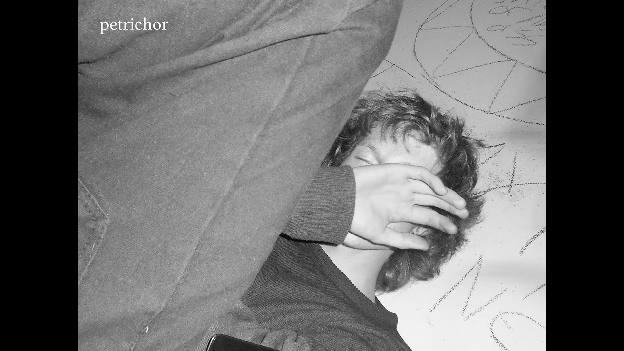 Brazen Impudence - petrichor