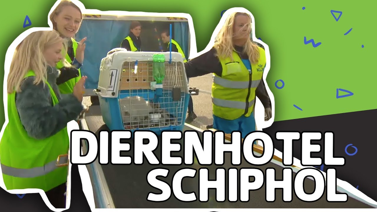WAAR BLIJVEN DIEREN TIJDENS EEN OVERSTAP OP HET VLIEGVELD? // Willem Wever // #82