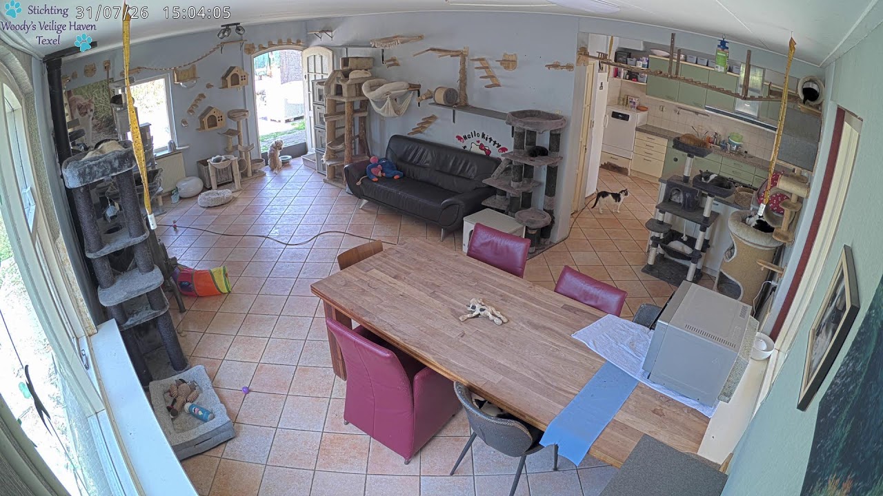 Animal spycam | Woody's Veilige Haven Texel Katten | Woonkamer