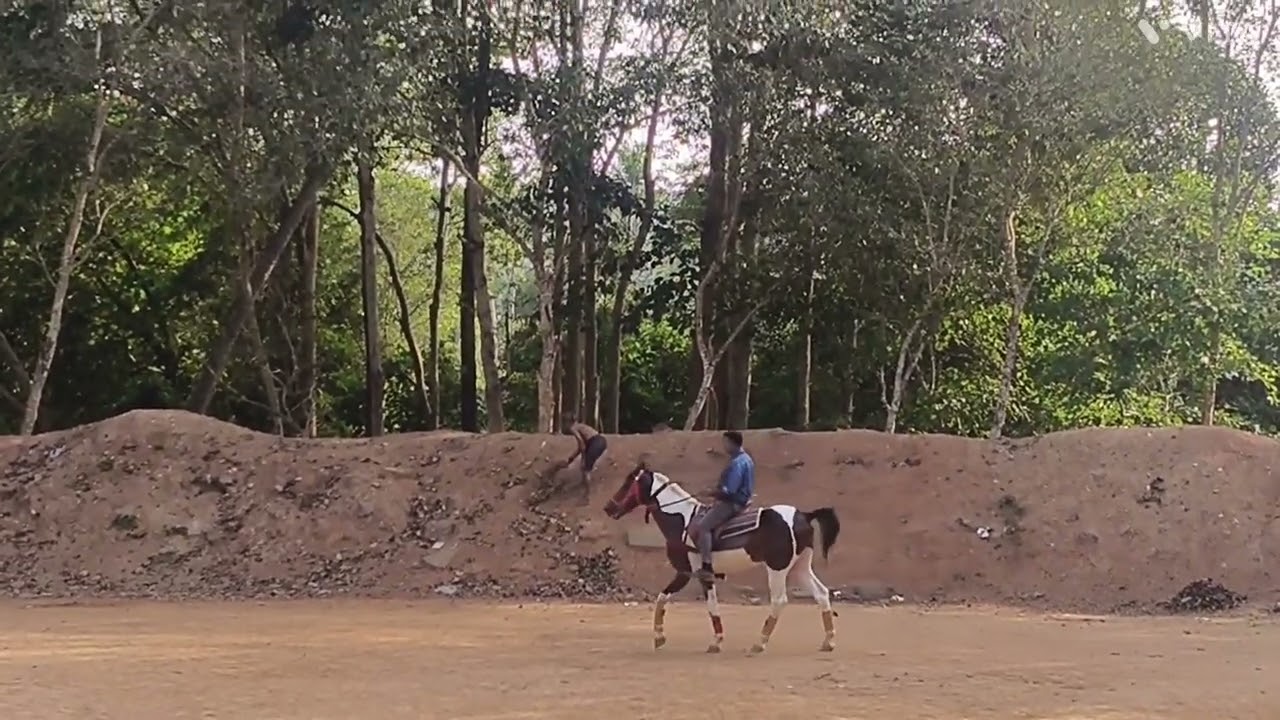 Sunday, 22/02/2026 Horse-riding & Padmanapuranm   is planned for interested students.  Fee: ₹750  
