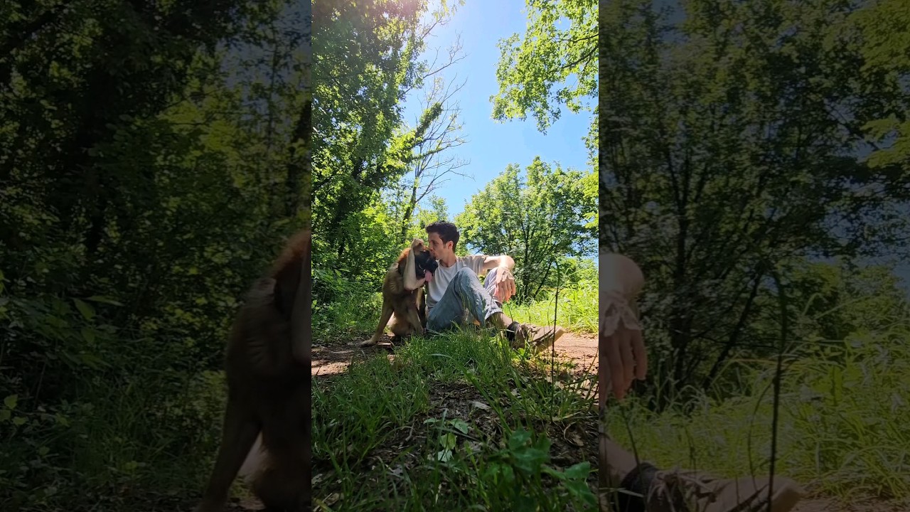 MIGLIOR RELAX 🐶😌❤️ ASMR #asmr #asmrnaturesounds