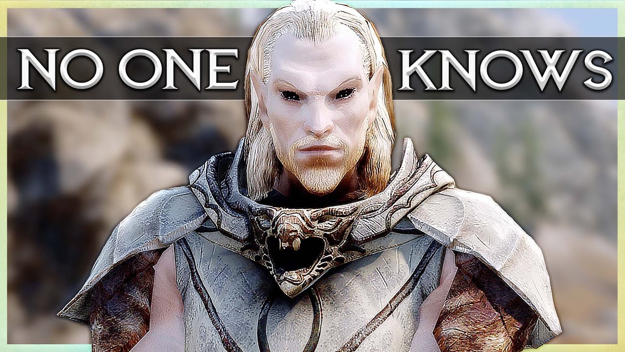 Is THIS Skyrim's Most Mysterious Enemy?