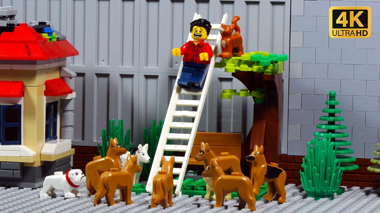 LEGO City Mischievous Cat Escapes & Dog Chase!