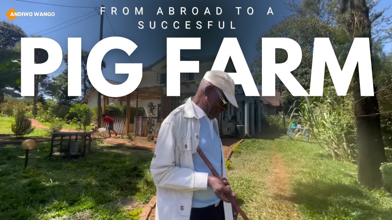From Abroad to Making Profits in Pig Farming