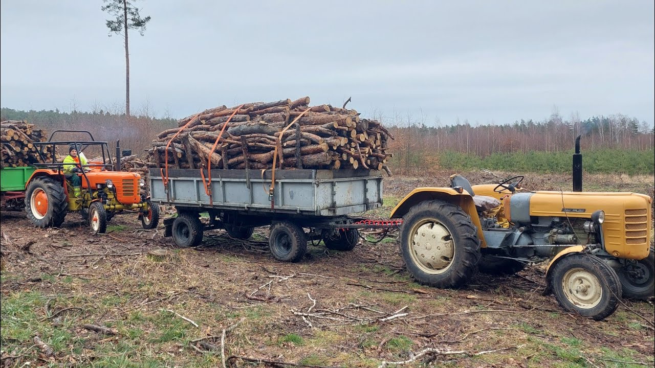 Akcja Las ostatnie Przyczepy. Zetor 4011,i 3011,