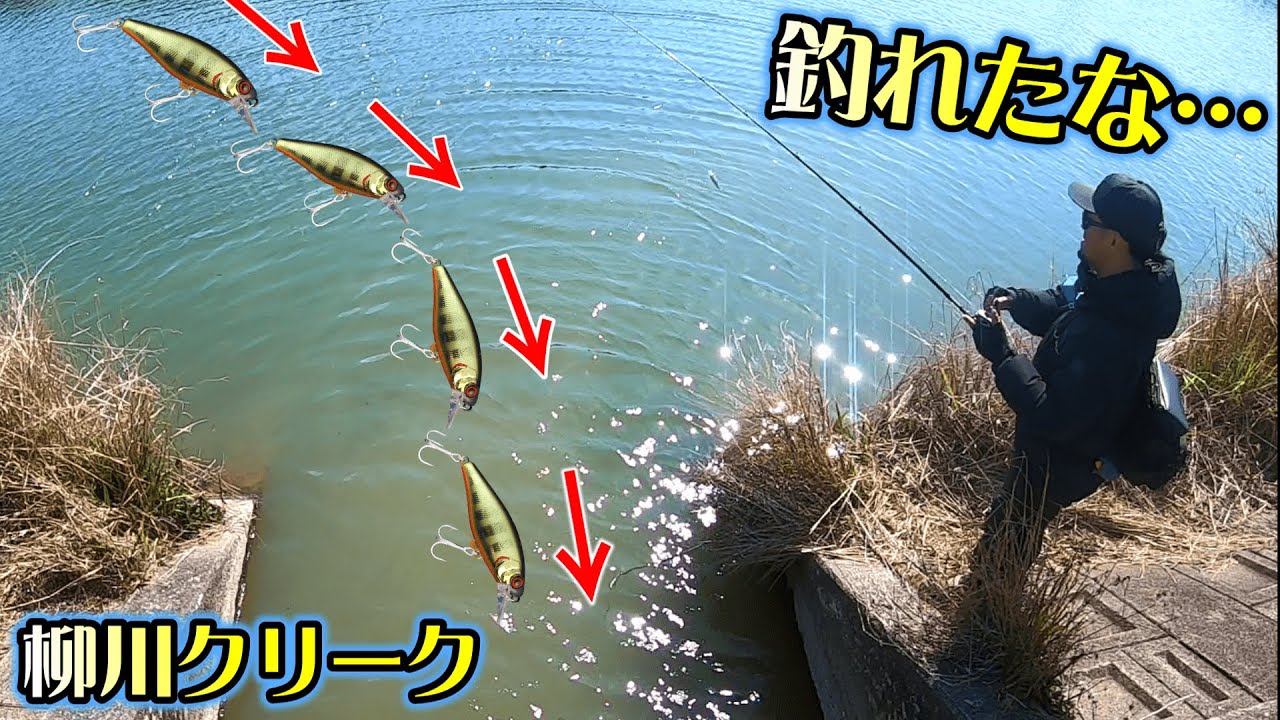 濁りの中にルアーを突っ込ませた瞬間っ‼️早春の柳川クリークでハードベイトが大炸裂❗️【遠賀3兄弟#1】