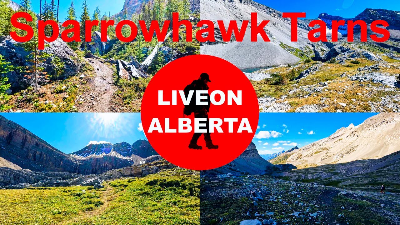 MAGICAL & MAGICAL Hike: Sparrowhawk Tarns 