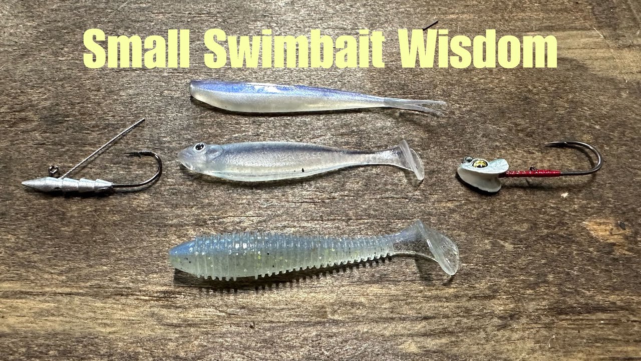 Small Swimbait Modifications And Techniques For Above-Average Anglers Only