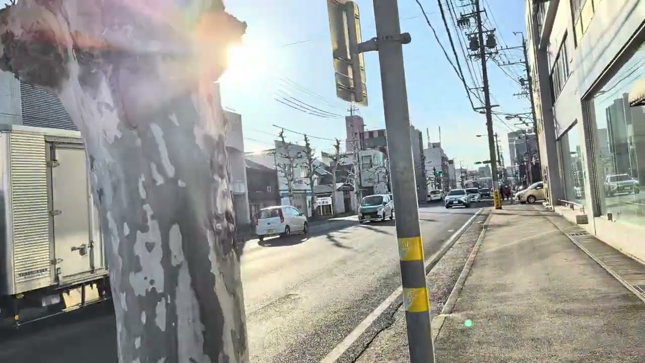 【ルノー岐阜〜梅林公園】　2026年2月26日（木）
