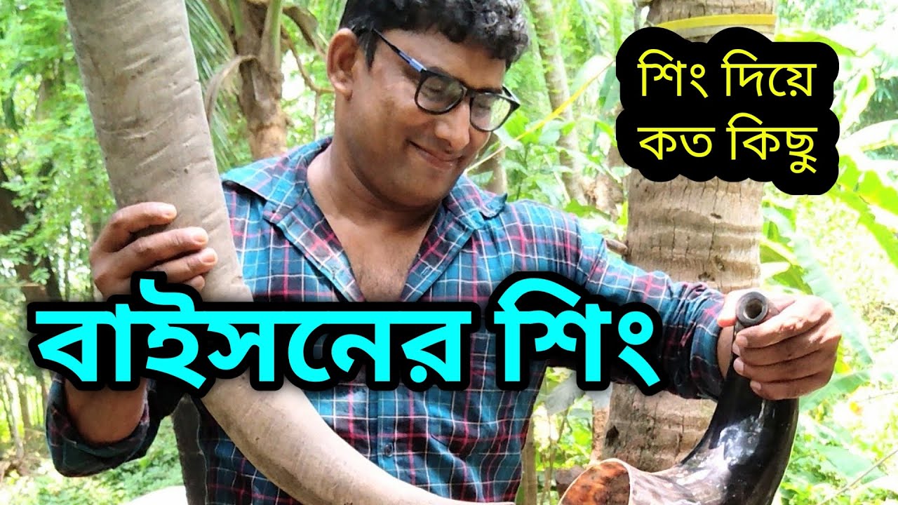 ইয়া বড়ো বাইসনের শিঙ থেকে চিরুনি, চামচ, জন্তু, জানোয়ার, পাখি || Horn Comb Cottage Industry ||