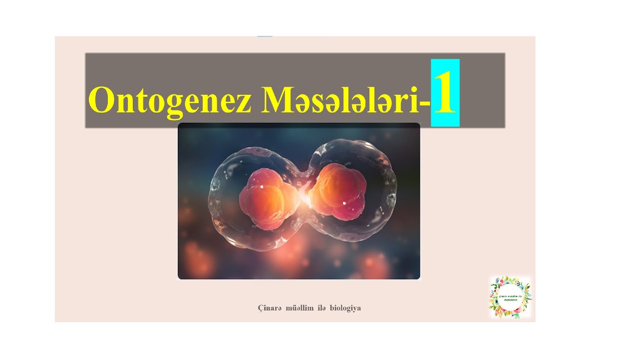 Ontogenez meseleleri-1