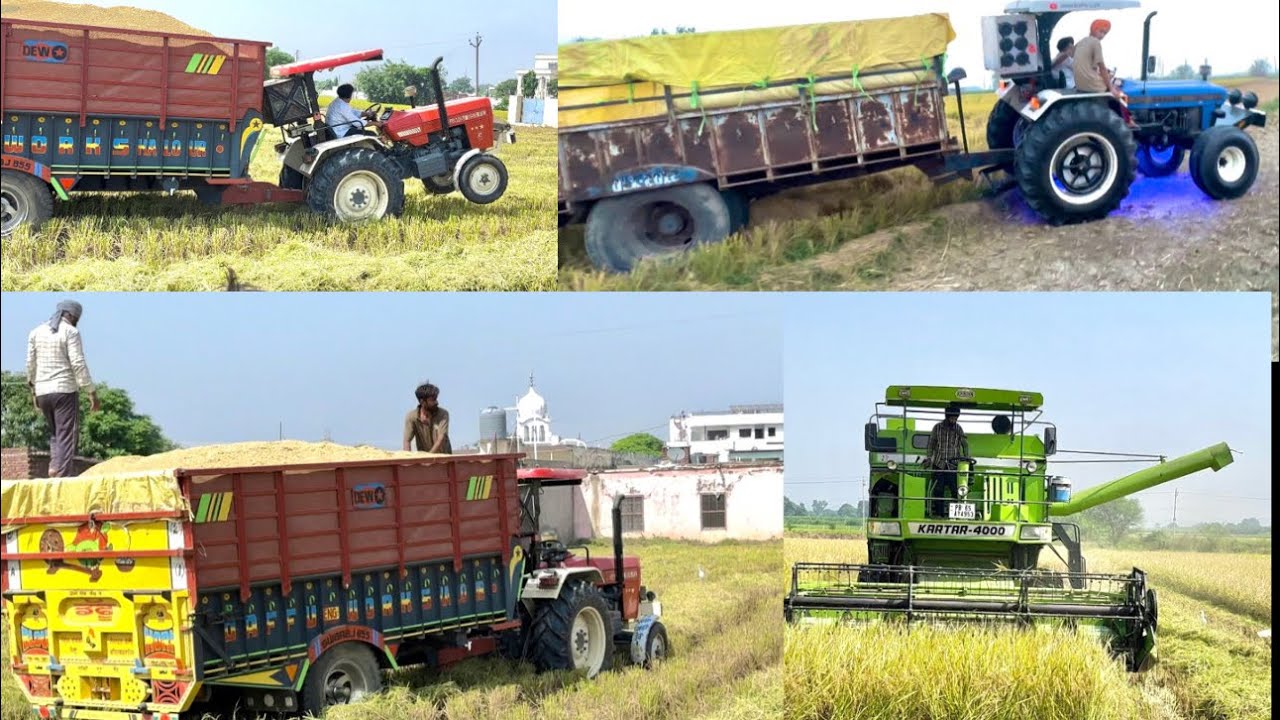 Swaraj 855 Da Zor💪🏻 | Vadd Diti Jiri🌾🌾 | Tralle Di Kdd Diti Tissi❤️ | Kartar Combine