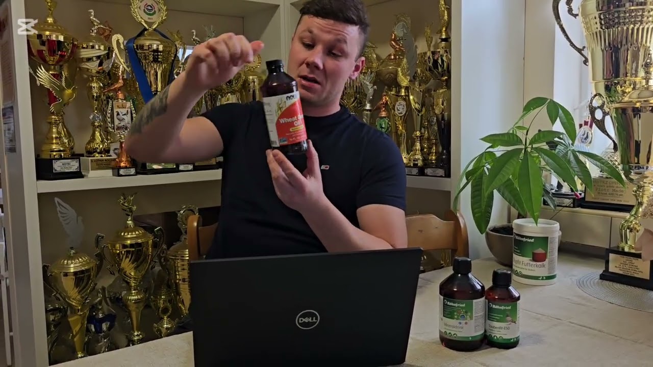 Przygotowanie Golebi do Łączenia w Pary oraz Q&A Okres Rozrodu.