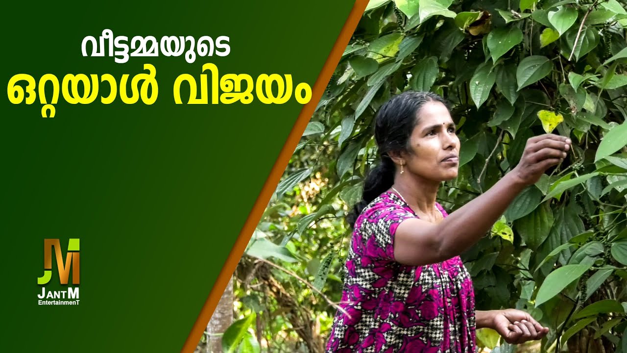 വീട്ടമ്മയുടെ ഒറ്റയാൾ പോരാട്ടം