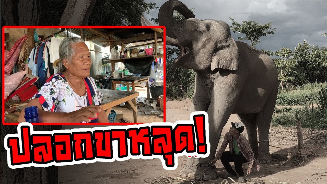 ปลอกหลุด!? คุณยายเล่าถึงเหตุการณ์น้าเชษ ไปฟัง!?
