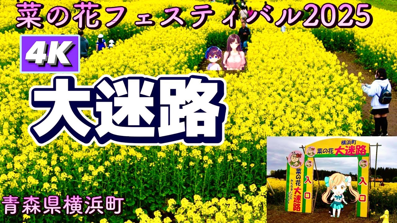 横浜町菜の花フェスティバル2025ダイジェスト4K