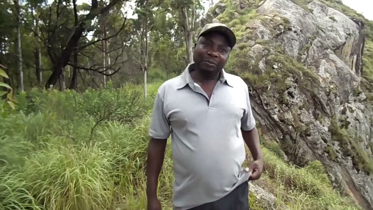 VUCHAMA NGOFI VIDEO