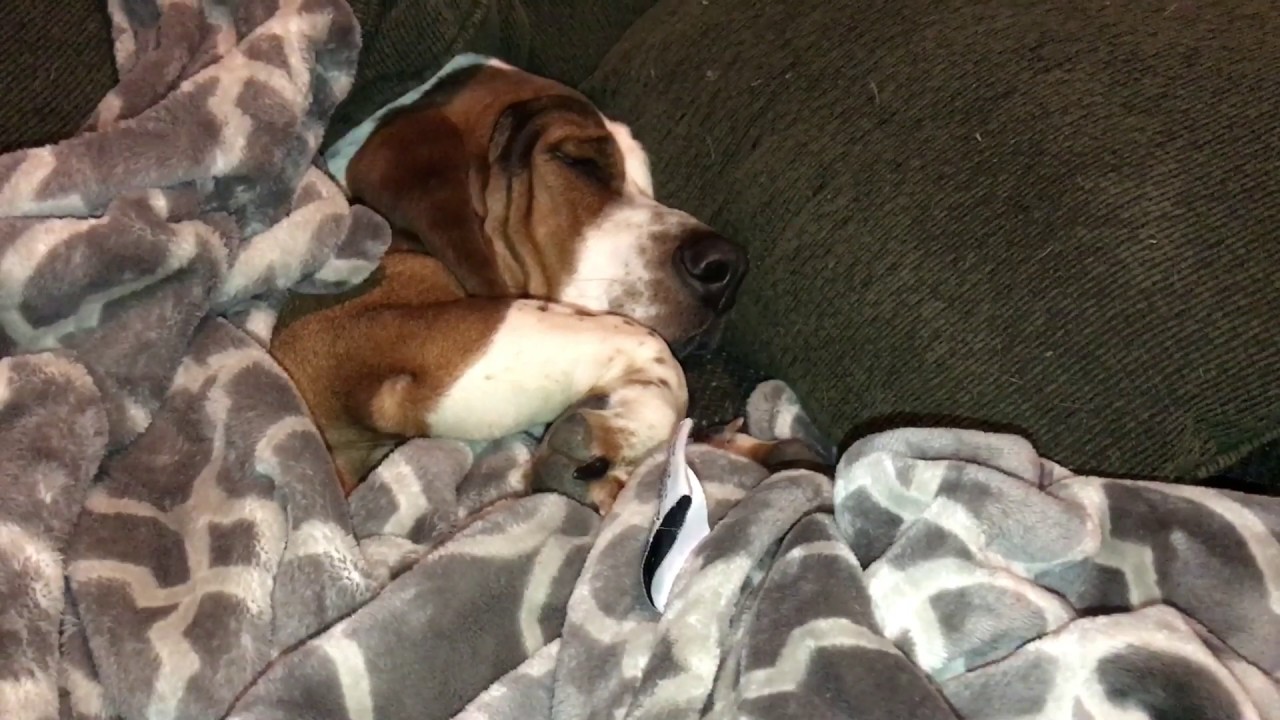 He's not a morning person