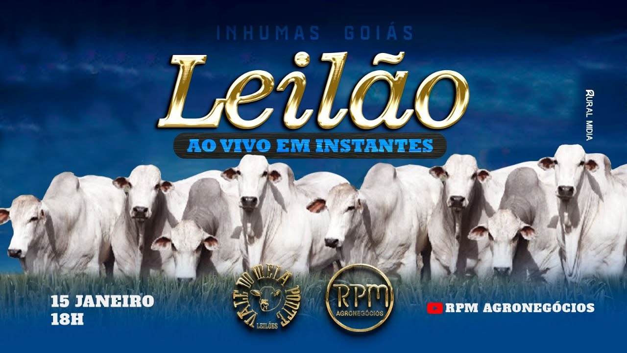 VALE DO MEIA PONTE LEILÕES - INHUMAS - LEILÃO VIRTUAL E PRESENCIAL - 15 DE JANEIRO DE 2026.
