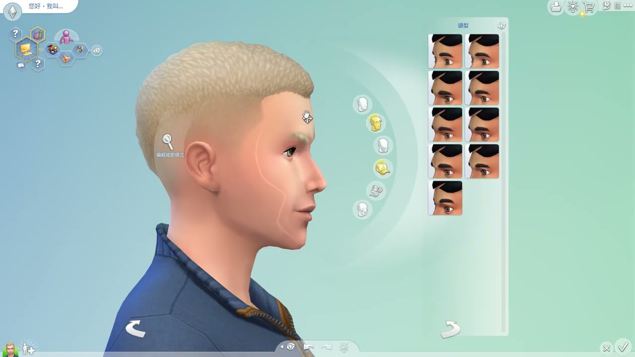 The Sims 4 : 第1集 創造人物